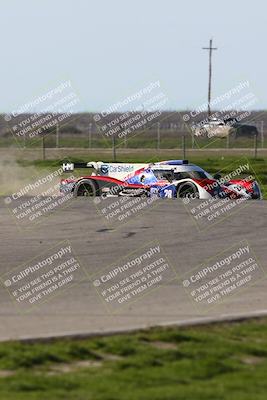 media/Feb-23-2024-CalClub SCCA (Fri) [[1aaeb95b36]]/Group 5/Qualifying (Star Mazda)/